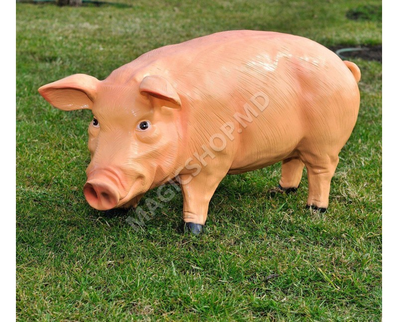 Figurina Cera Purcel